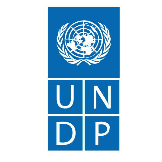 undp edit